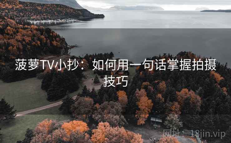 菠萝TV小抄：如何用一句话掌握拍摄技巧