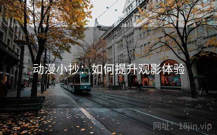 动漫小抄:如何提升观影体验 动漫小抄:如何提升观影体验